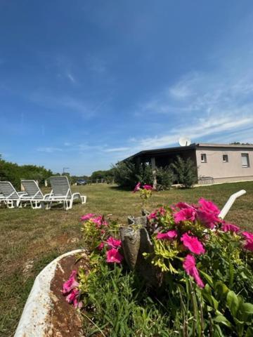 Holiday Home Lavanda プーラ エクステリア 写真