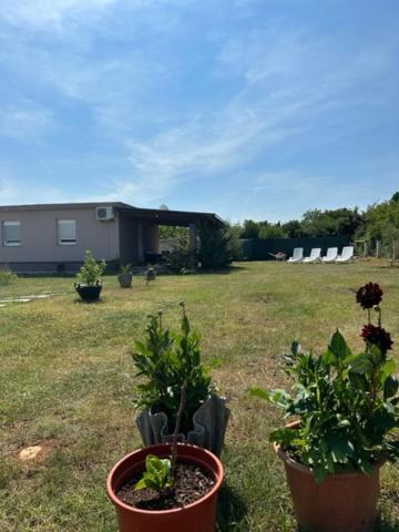 Holiday Home Lavanda プーラ エクステリア 写真